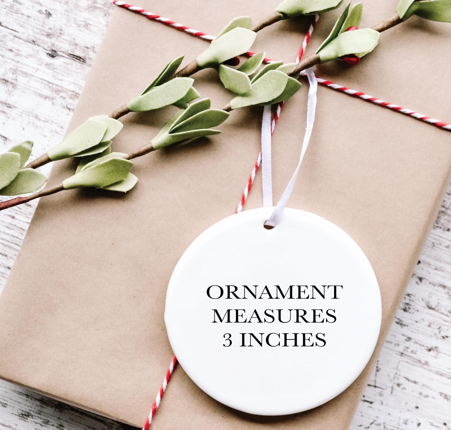 Saint Louis Skyline Ornament, Saint Louis, St. Louis, Christmas