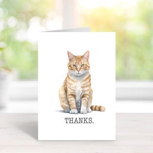 Cadeau pour amoureux des chats, Chat en colère, Propriétaires de chats, Papeterie chat, Cartes de correspondance personnalisées, Cartes de correspondance chat, Papeterie, Chats, Notes de remerciement