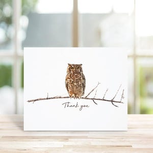 Cartes De Remerciement Hibou, Cartes De Correspondance Hibou, Chouettes, Cartes De Hibou, Amoureux De Hiboux, Cartes De Remerciement, Papeterie Hibou, Mots De Remerciement, Cartes De Correspondance