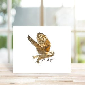 Cartes De Remerciement Hibou, Cartes De Correspondance Hibou, Chouettes, Cartes De Hibou, Amoureux De Hiboux, Cartes De Remerciement, Papeterie Hibou, Mots De Remerciement, Cartes De Correspondance