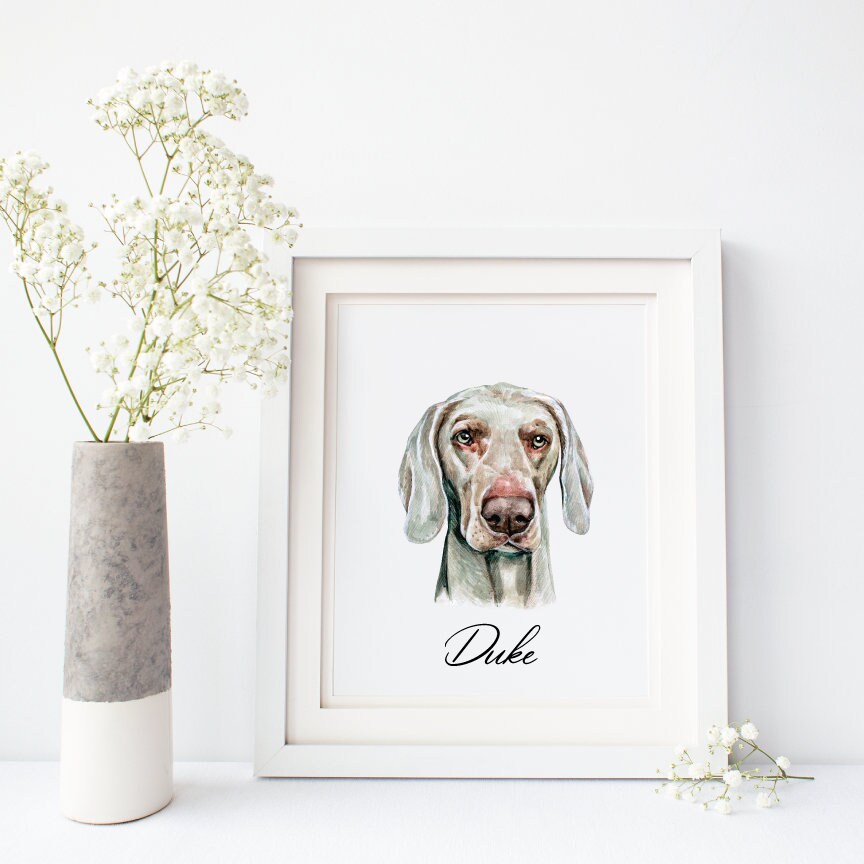 Weimaraner Painting
