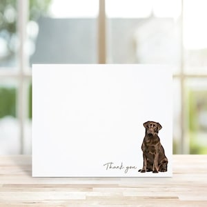May include: A white thank you card with a brown Labrador Retriever sitting on a white background. The text "Thank you" is written in cursive at the bottom of the card.