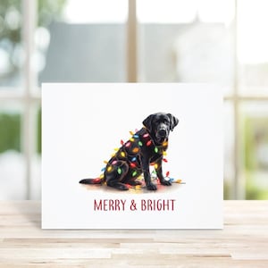 Cartes De Noël Pour Chien, Jeu De Cartes Pour Les Fêtes, Chiens, Papeterie Pour Chien, Cartes Chien, Cartes De Noël Pour Chiens, Animaux De Compagnie, Black Lab, Labrador Retriever