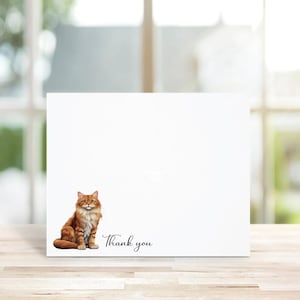 Cadeau pour amoureux des chats, Maine coon, propriétaires de chats, papeterie chat, cartes de correspondance personnalisées, cartes de correspondance chat, papeterie, chats, mots de remerciement