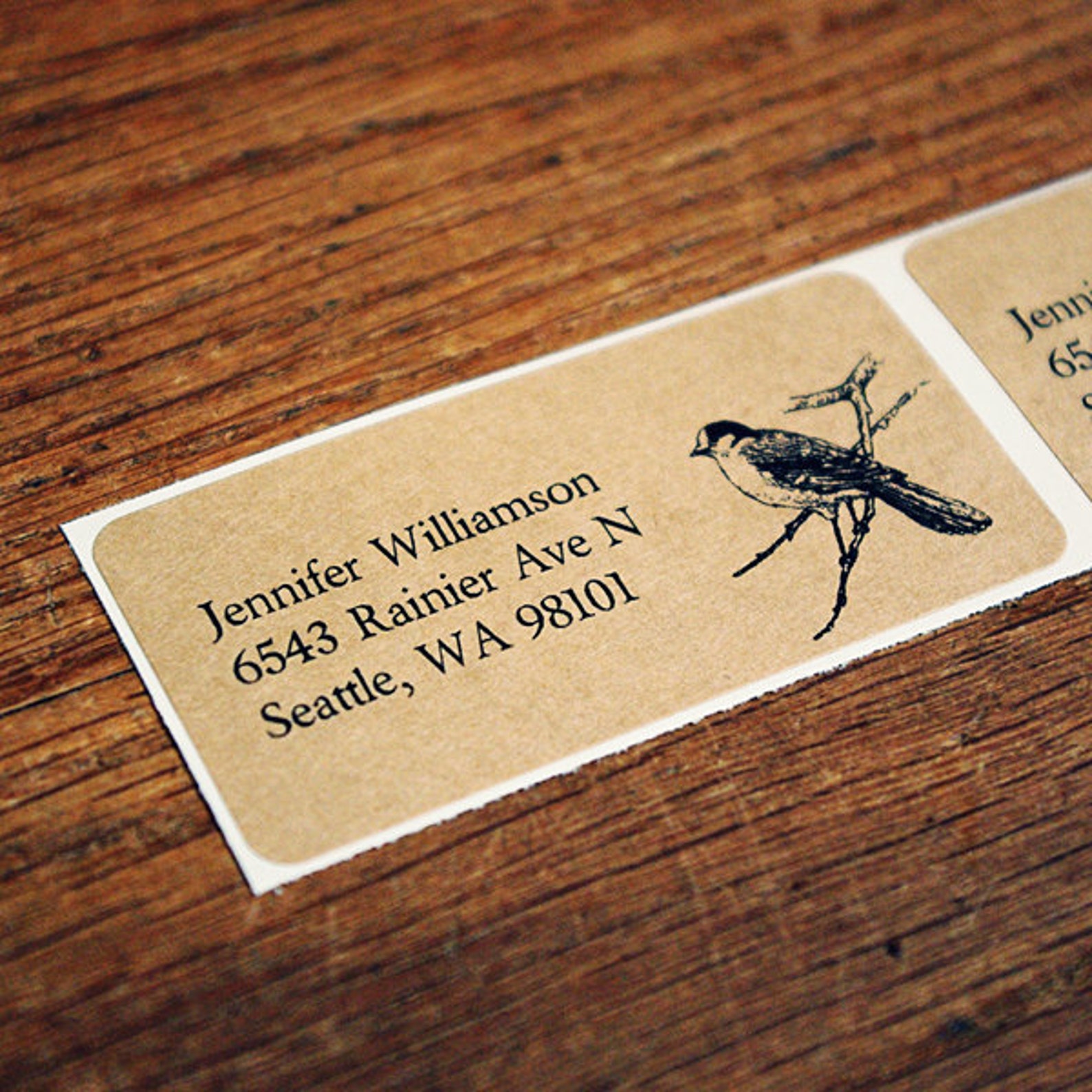 Bird Address Labels Return Address Label Custom Printed Etsy