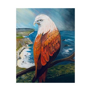 Stampa artistica/poster di aquila marina australiana, decorazione da parete, poster sulla fauna selvatica, regalo per gli amanti degli uccelli, decorazione per l'ufficio domestico, carta lucida da 300 g/m²