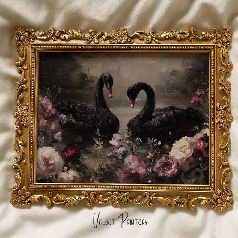 May include: A framed print featuring two black swans with red beaks, floating in water amidst pink and white flowers. The artwork is set within an ornate gold-colored frame. The text "Velvet Printery" is at the bottom.