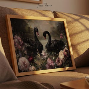 May include: Framed art print featuring two black swans on a pond surrounded by pink and white flowers. The artwork has a vintage aesthetic with a wooden frame. The text "Velvet Printery" is visible at the top.