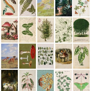 25 pcs cottagecore bedroom green aesthetic, fairy nature botanical wall art, earthy vintage collage for teen girls dorm, digital download