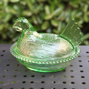 【Hen on nest】ガラス容器 Hen on Nest Glass - Etsy Canada