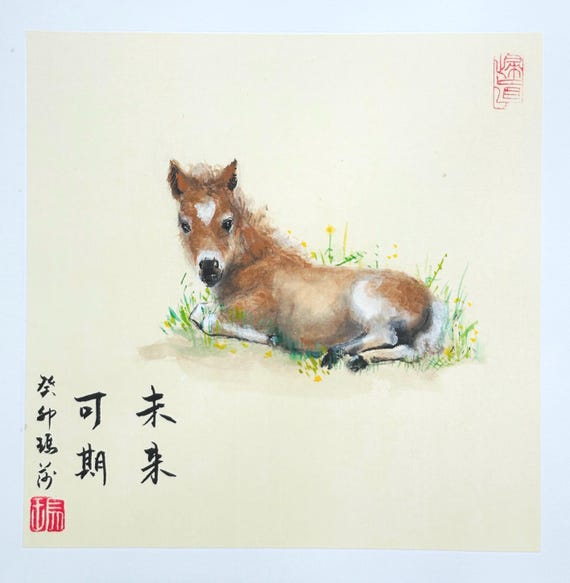 Baby foal