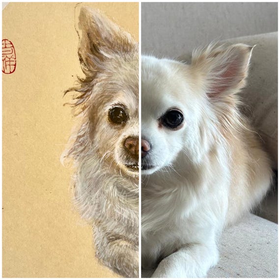 Custom pet portrait commission
