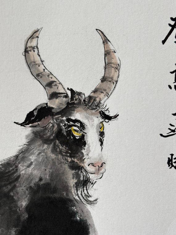 Mountain goat