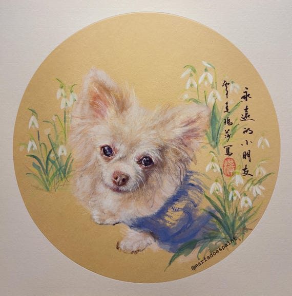 Custom chihuahua portrait commission
