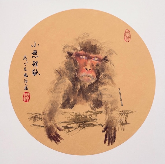Chill monkey