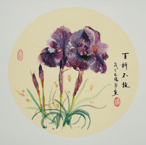 Mary’s desert iris