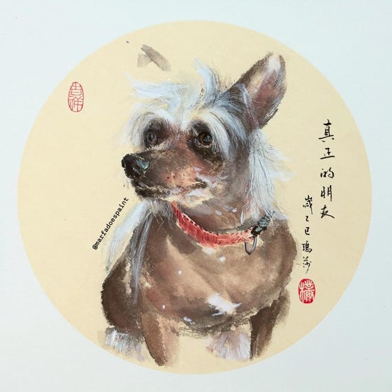 Custom pet portrait commission