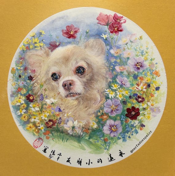Custom chihuahua portrait commission