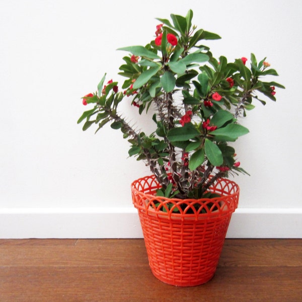 1960s vintage CACHE POT PLANTER⎮bright red plastic⎮home gardening⎮mid century modern