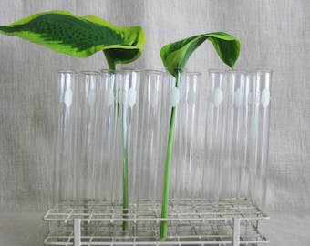 Test Tube Scientific Stand, Laboratory, Lab Glass Vials Flower Vase, Medical Collectibles Housewarming Gift