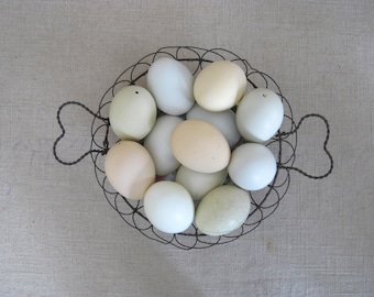 Blown Natural Pastel Colored Chicken Eggs, Real Undyed Easter Modern Farm House Décor