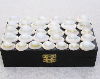 Coastal Desk Box, Cowry Shell Office Organization Small Storage Beach House Décor