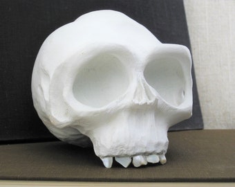 Skull Sculpture, Folk Art Wood Carving, Primate Human by Ray Kobald, Vintage Man Cave Housewarming Gift