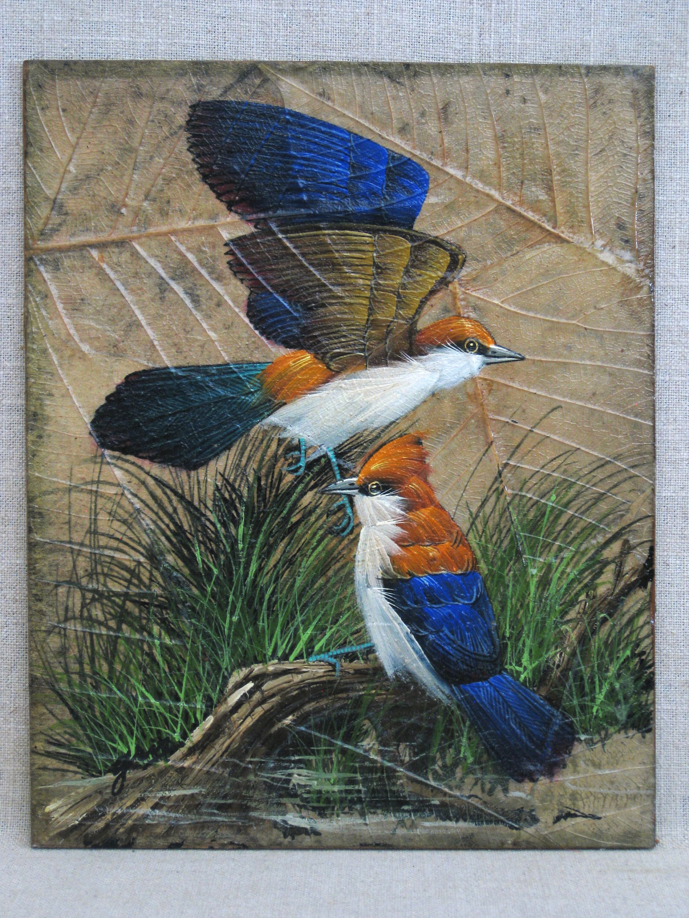 gallery photo