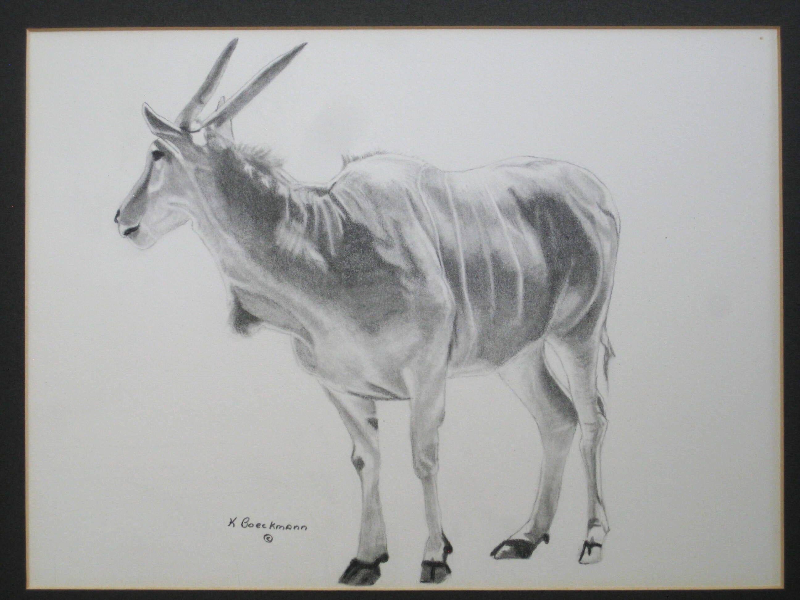 Vintage Eland Drawing, African Antelope, Common Eland, Animal Art