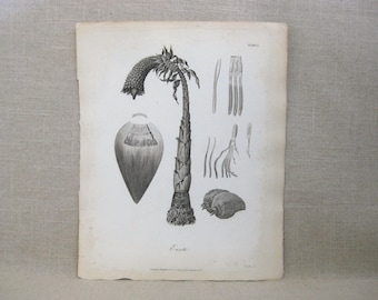 Antique Book Plates