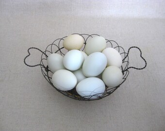 Pastel Naturally Colored Chicken Eggs, Blown Empty Real Undyed Easter Modern Farm House Décor