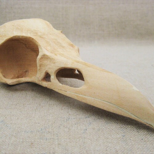 Vintage Bird Skull, Folk Art Carving, Ray Kobald retailer