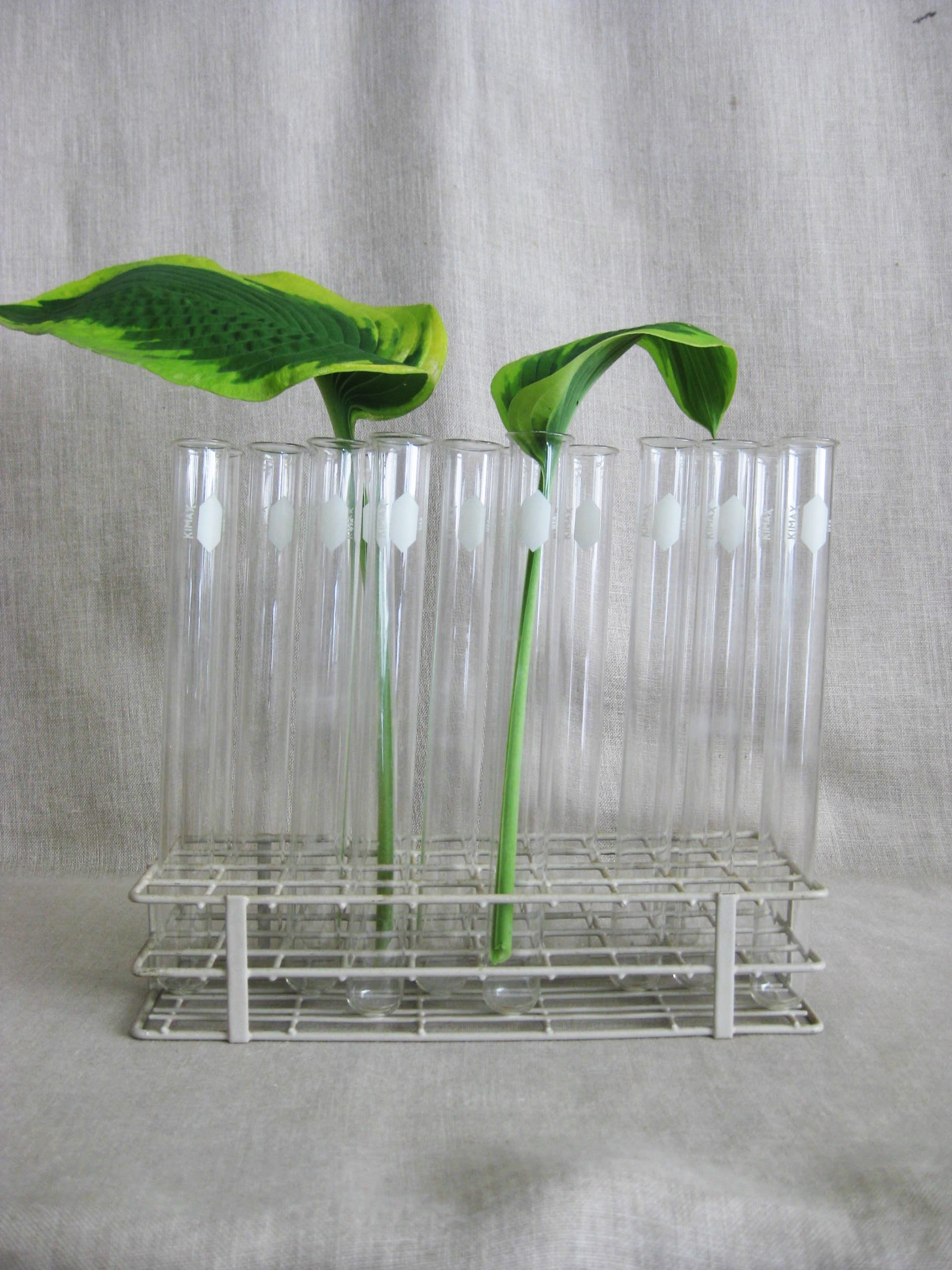 Vintage Scientific Labratory Test Tube Stand and Lab Glass Vials, Flower Vase, Medical Collectibles