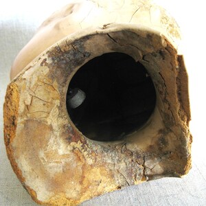 May include: A vintage, hollow ceramic head with a large, circular opening. The head is a light beige color with visible cracks and imperfections. The interior of the head is dark, and the edges show signs of age and wear.