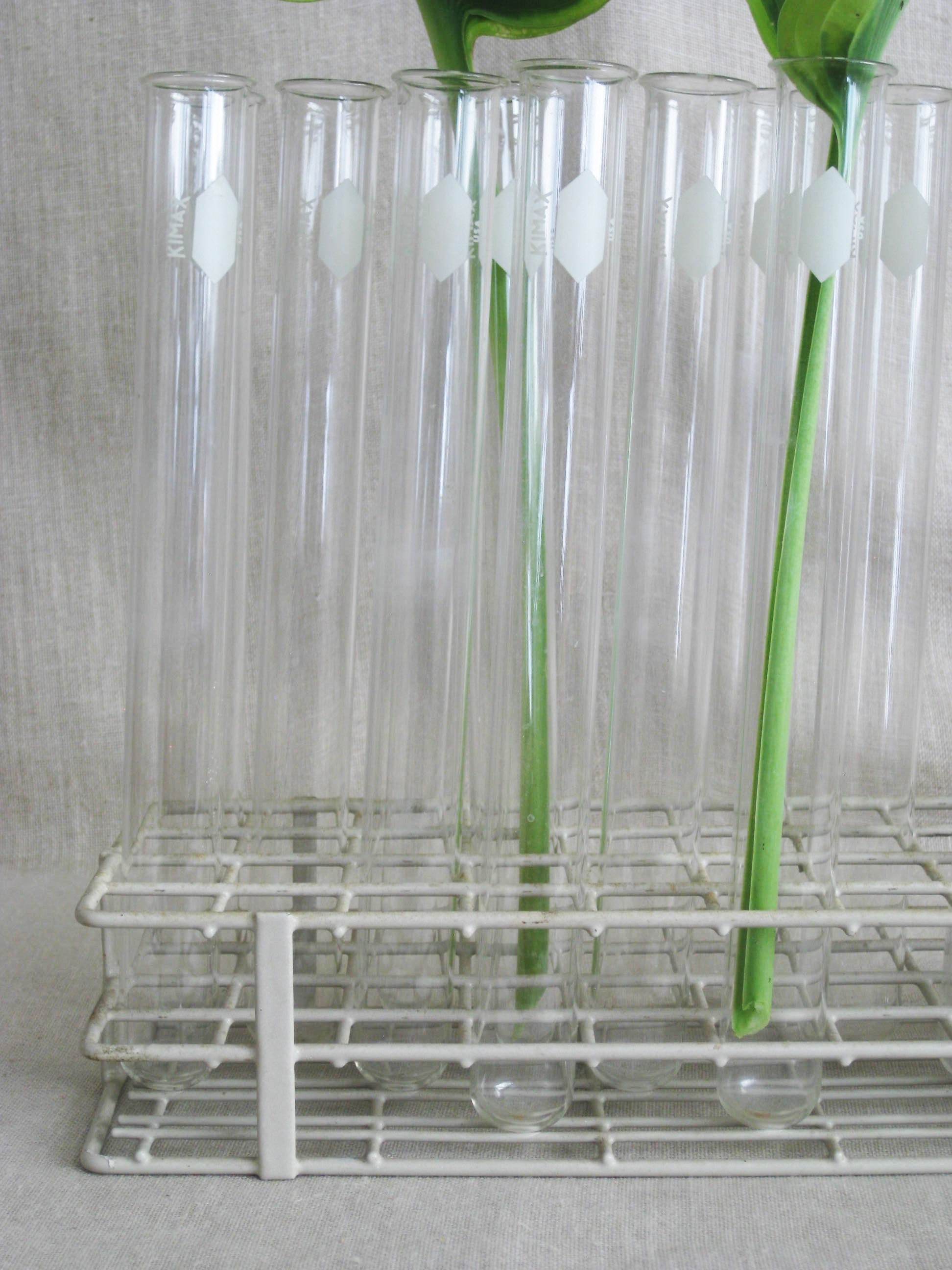 Vintage Scientific Labratory Test Tube Stand and Lab Glass Vials