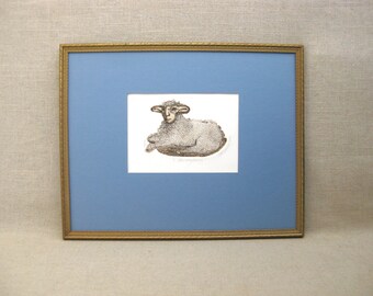 Contemporary Sheep Male Portrait Etching, Framed Carol Travers Lummus Vintage Fine Art Print