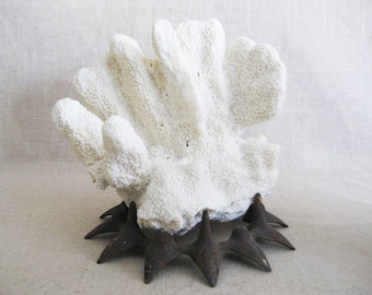 Authentic Coral Specimen On Base, Vintage Decorative Beach House Home Décor
