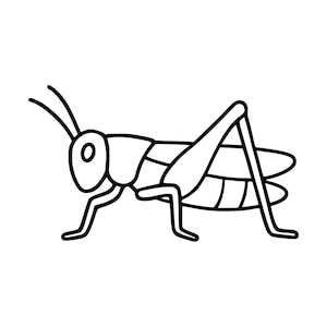 Może przedstawiać: Czarno-biała ilustracja liniowa konika polnego przedstawiona z profilu. Rysunek ukazuje prosty zarys owada z dwiema długimi czułkami, dużą tylną nogą oraz segmentowanymi częściami ciała, umieszczony na jednolitym białym tle.