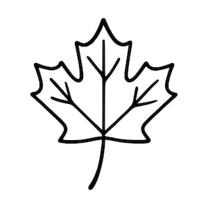 May include: A black and white line drawing of a maple leaf. The graphic features a central stem extending downwards with symmetrical veins branching out into the five distinct lobes of the leaf, all rendered in a clean, bold outline.