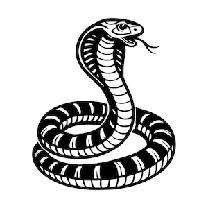 May include: A black and white graphic illustration of a cobra snake in a coiled position. The snake is depicted with its hood flared, mouth slightly open, and a forked tongue extending outward. The design features bold lines and high contrast.