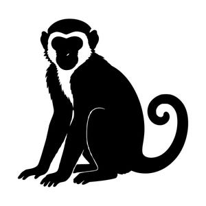以下が含まれることがあります： 横向きに座っている猿の白黒グラフィックイラスト。猿は真っ黒な体と尻尾を持ち、顔と胸の部分は白くなっています。尻尾の先は上向きにカールしており、猿は正面を向いています。