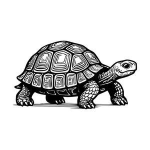 以下が含まれることがあります： 横向きの亀を描いた白黒の線画イラスト。幾何学模様の甲羅、目が見える質感のある頭部、爪のある4本の頑丈な脚が特徴で、平らな線の上に立っている様子が描かれています。