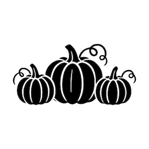 Peut inclure: Un graphique en silhouette noire représentant trois citrouilles disposées en rangée. La citrouille centrale est la plus grande, flanquée de deux citrouilles plus petites de chaque côté. Chaque citrouille présente des côtes et une tige.