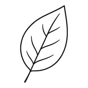 Può includere: Un semplice disegno al tratto in bianco e nero di una singola foglia. L'illustrazione presenta un contorno chiaro di una forma di foglia con una venatura centrale e diverse venature più piccole che si diramano verso i bordi.