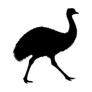 Emu SVG PNG, djur Clipart, Cricut Cut-fil (direkt nedladdning)