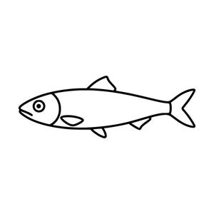 Könnte beinhalten: Eine einfache schwarz-weiße Strichzeichnung eines Fisches im Profil. Die Abbildung zeigt eine klare Umrisslinie des Fischkörpers, einschließlich eines einzelnen Auges, einer Rückenflosse, einer Brustflosse, einer Bauchflosse und einer Schwanzflosse.