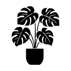 Fichier SVG de pot de Monstera, silhouette de plante en pot (téléchargement instantané)