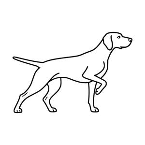 Puede incluir: Una ilustración de arte lineal en blanco y negro de un perro de muestra en vista de perfil. El perro se representa con la cola extendida horizontalmente, una pata delantera levantada y la cabeza girada hacia adelante en postura de caza.