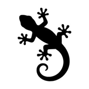 Könnte beinhalten: Eine einfarbige schwarze Silhouette eines Geckos in der Draufsicht. Das Tier ist mit vier gespreizten Beinen dargestellt, die jeweils in deutlichen Zehenballen enden, und der lange Schwanz ist am Ende zu einer kreisförmigen Form eingerollt.