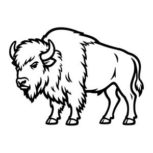 May include: A black and white line art illustration of a standing American bison. The drawing features bold outlines, a thick shaggy mane around the head and shoulders, curved horns, and a tufted tail, presented in a clean, graphic style.